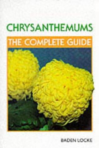 Chrysanthemums