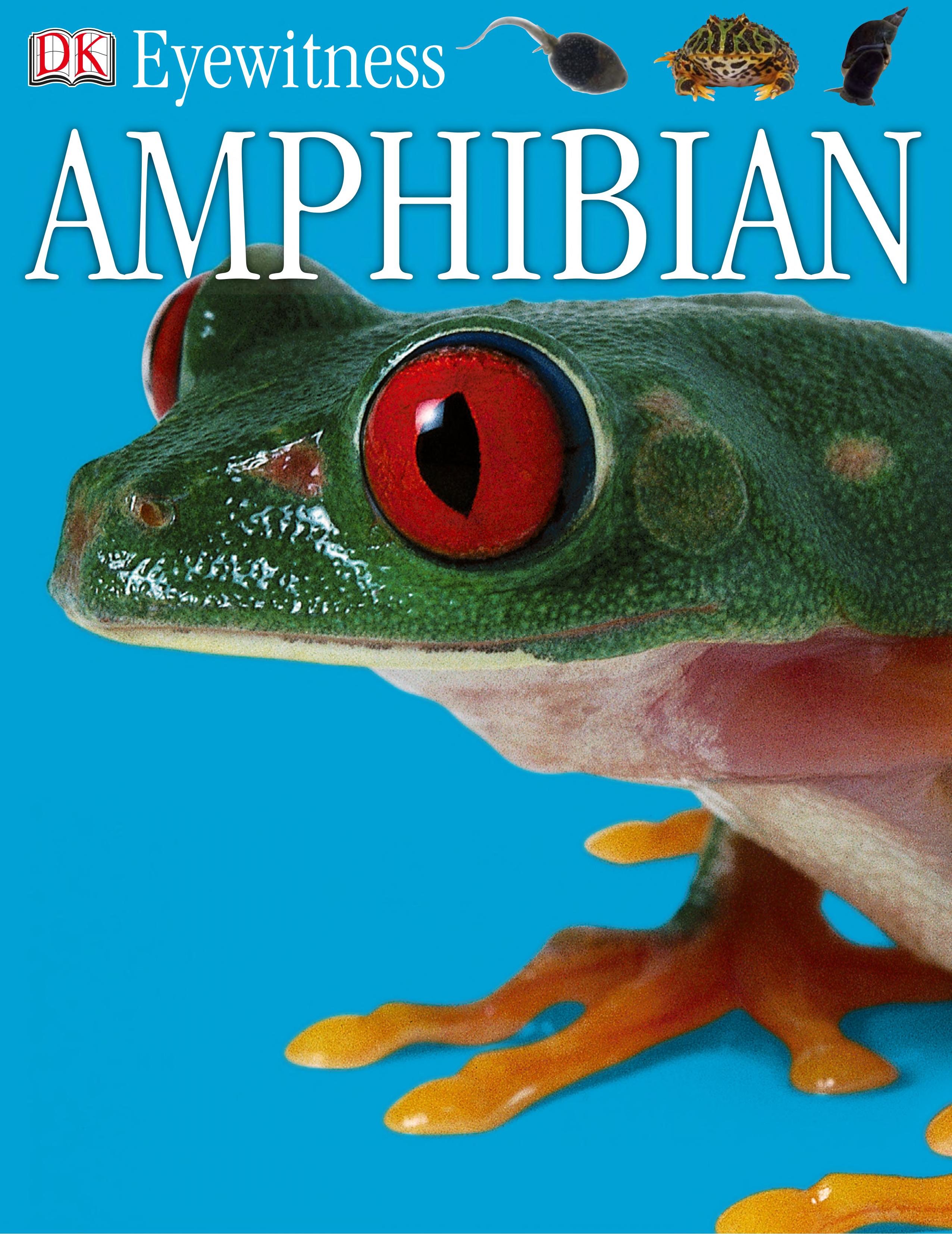 Amphibian (DK Eyewitness Books)