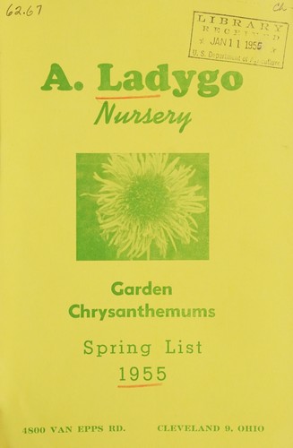 Garden chrysanthemums