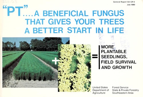 PT--a beneficial fungus that gives your trees a better start in life