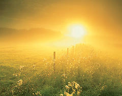 An Attitude of Gratitude