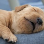 How do I get my kids to go to sleep?