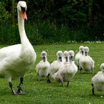 Passing values on to your children, Part 2
