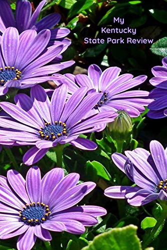 My Kentucky State Park Review