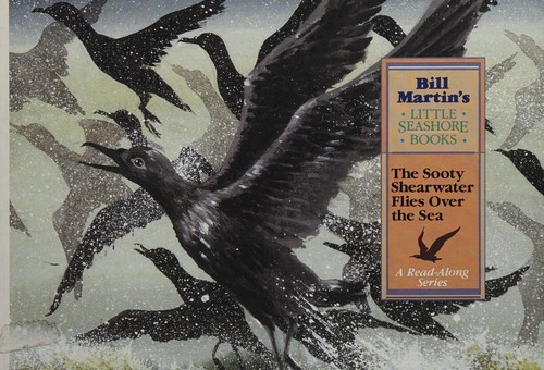 The sooty shearwater flies over the sea