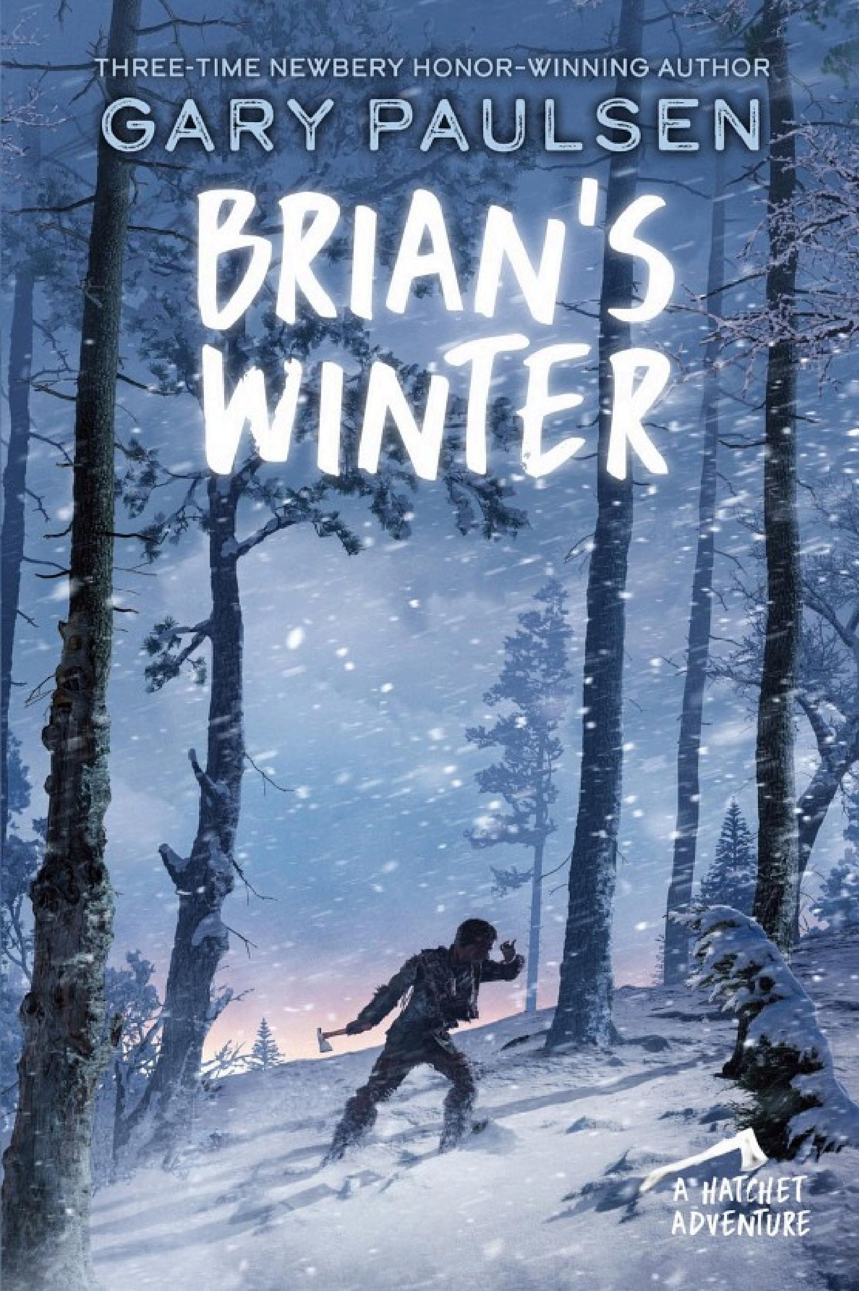 Brian's Winter