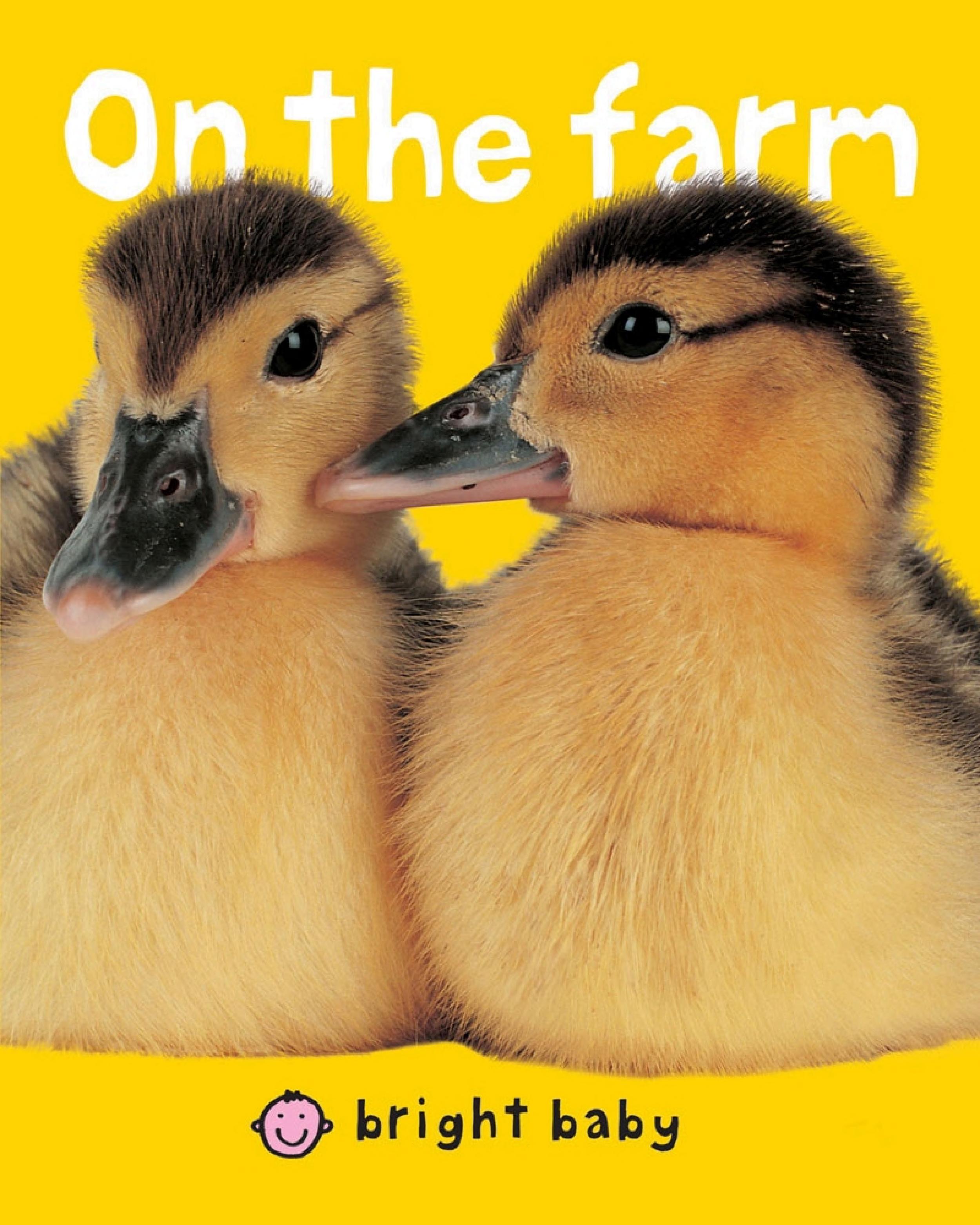 Bright Baby Touch and Feel On the Farm (Bright Baby Touch and Feel)