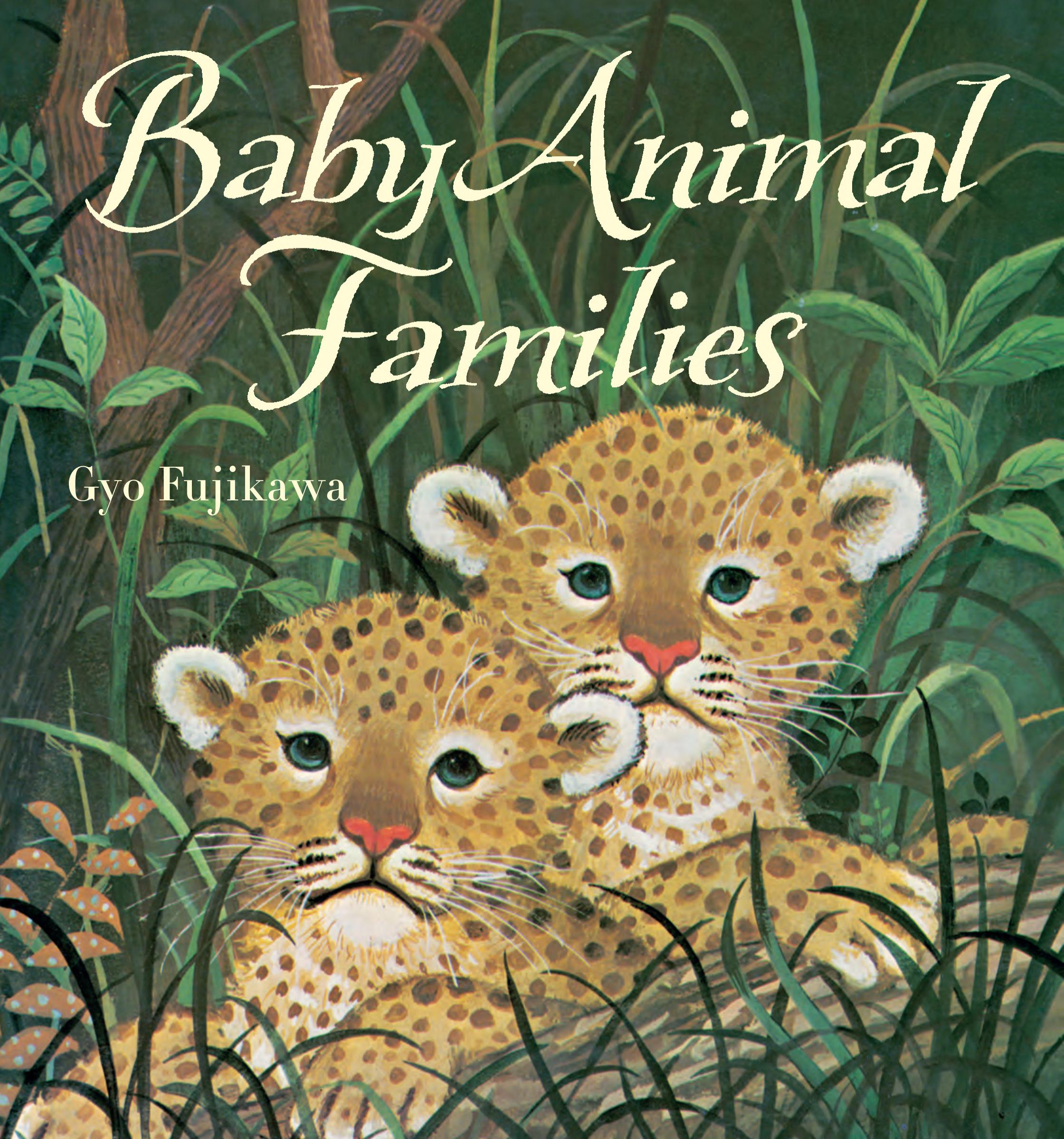 Baby Animals