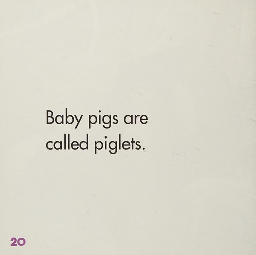 Pigs and piglets