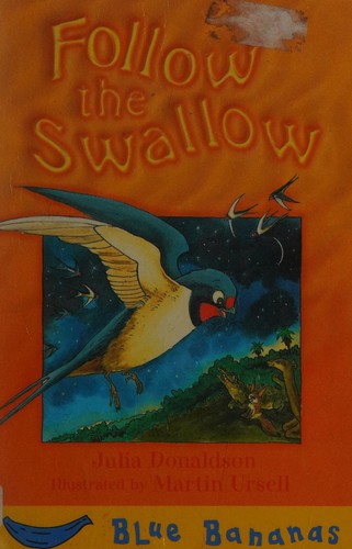 Follow the swallow