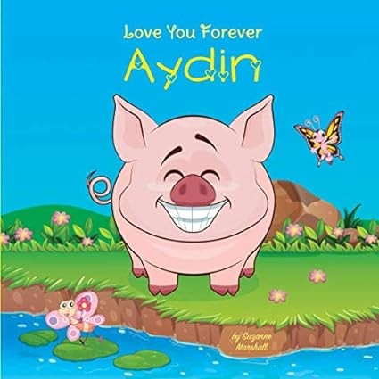 Love You Forever, Aydin