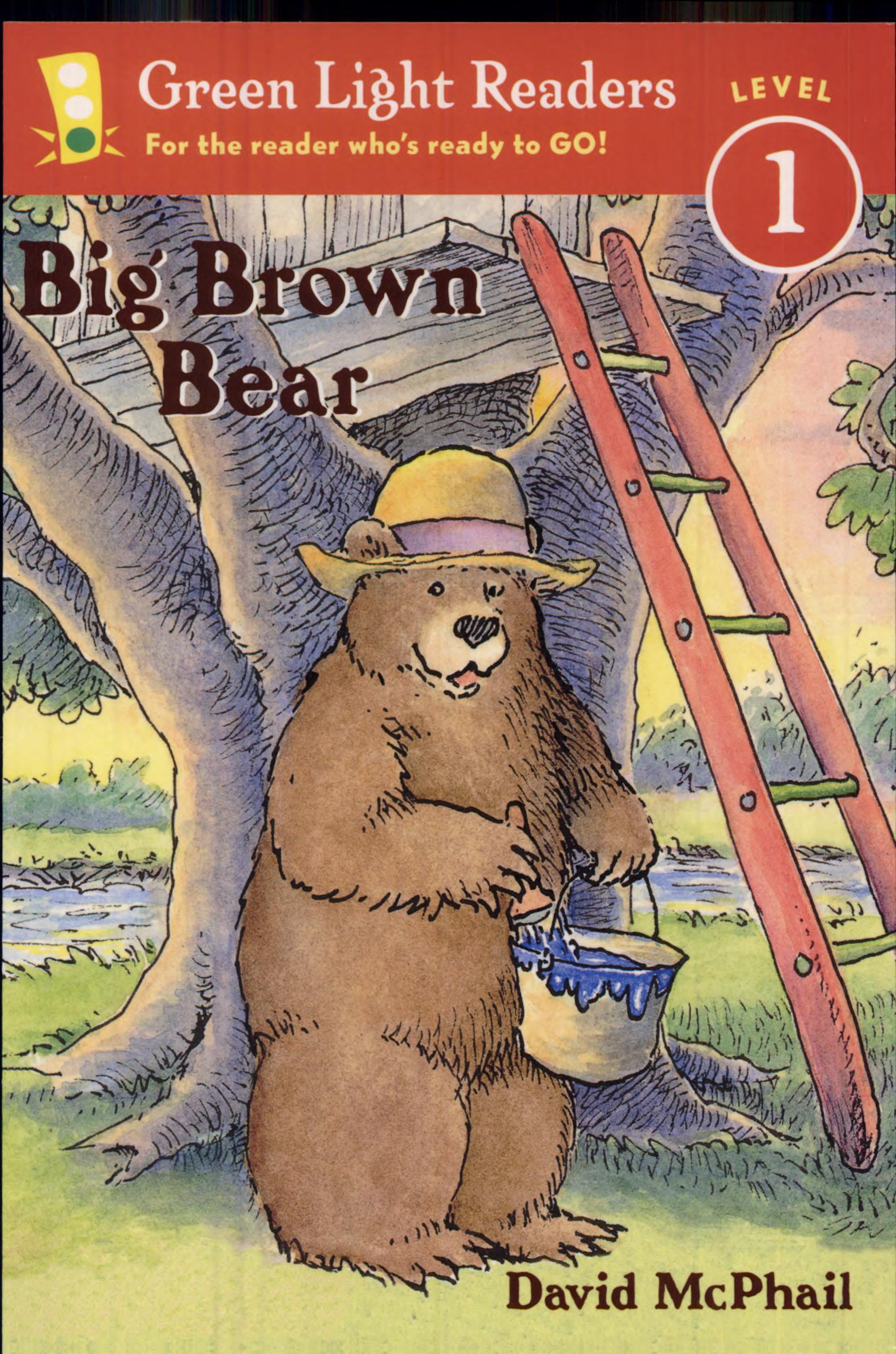 Big Brown Bear Stories