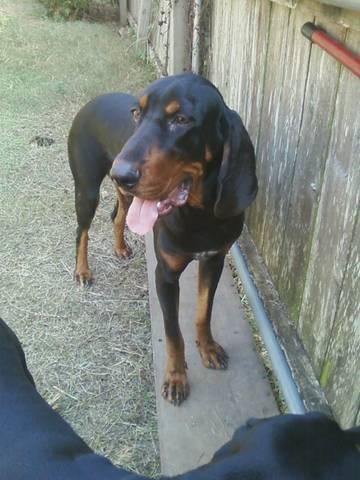 Tuck Everlasting, 25th Anniversary Edition (Sunburst Book)